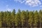 biomass_1920x1280.jpg
