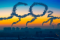 Cómo reducir las emisiones de dióxido de carbono?