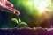 La imagen muestra los rayos del sol y una mano que gotea agua sobre una planta joven, simbolizando la producción de ACS con un sistema solar térmico.